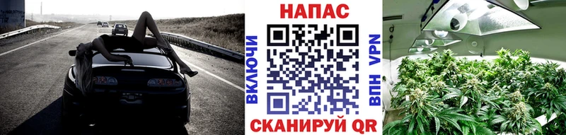 дарк нет наркотические препараты  Черепаново  МАРИХУАНА план  купить  цена 